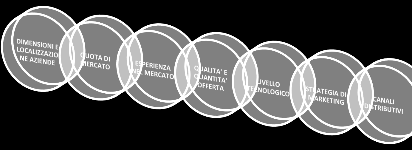 I Concorrenti In un accurata analisi di mercato un approfondito studio deve essere svolto sull attività