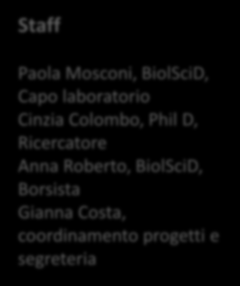 it Staff Paola Mosconi, BiolSciD, Capo laboratorio Cinzia Colombo, Phil D, Ricercatore Anna Roberto, BiolSciD, Borsista Gianna Costa, coordinamento progetti e segreteria Il Laboratorio di ricerca per