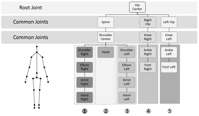 32 CAPITOLO 5. TRASFORMAZIONE A POSA STANDARD Figura 5.3: Organizzazione gerarchica ad albero dei joint. ripreso sono rispettivamente più corti o più lunghi rispetto allo scheletro standard.