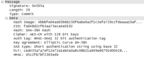 Nella figura seguente è mostrato il corpo del messaggio Commit definitivo, dove vengono ufficializzati tutti i meccanismi concordati (Figura 5.5). Figura 5.