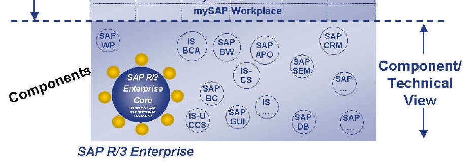 Evoluzione di un sistema ERP SAP Multiple Servers per SAP System Multiple Operational Stages per SAP System SAP Bus.