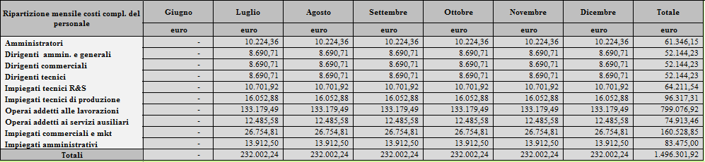 5) Dati del personale Il foglio Dati del Personale è una componente optional del programma. La mancata compilazione delle celle di input (bianche) non inficia la realizzazione del piano strategico.