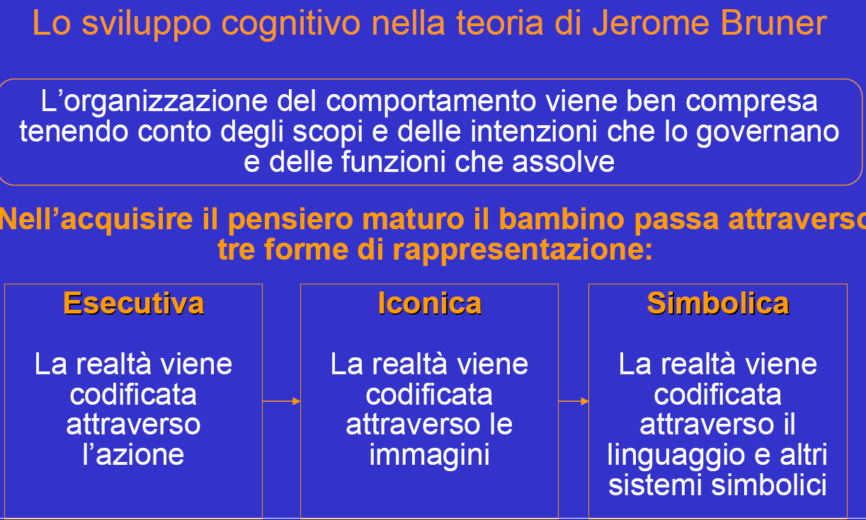 4.3.4 Lo sviluppo cognitivo secondo la teoria di Jerome Bruner Secondo Bruner, è importante studiare i processi cognitivi piuttosto che i prodotti della conoscenza, ovvero l effettivo svolgersi degli