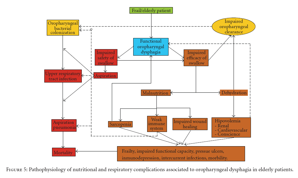 DISFAGIA FRAGILITA a. Semeiotica Nutrizionale + Laia Rofes et all.