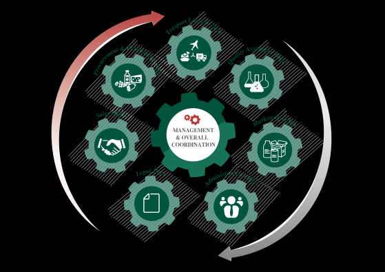 SERVIZI OFFERTI I servizi sono offerti in base alle specifiche situazioni o alle singole richieste e sempre con lo scopo di portare efficienza e trasparenza lungo tutta la supply chain: 1.