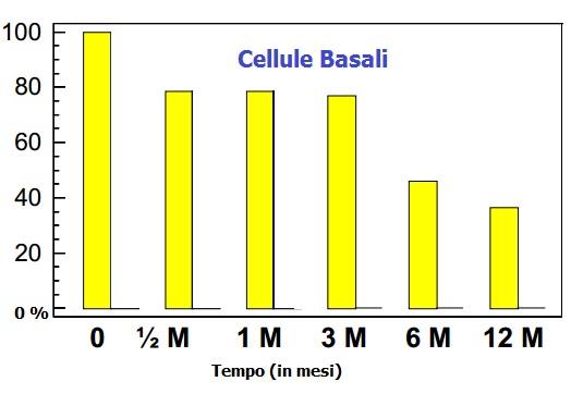 , Confocal microscopy after ortho-k, Atti del congresso EurOk, 2013) Nello stesso studio, gli autori sono andati in seguito ad analizzare la densità delle cellule epiteliali dei 3 strati in zona