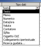 Creare una tabella Per indicare il tipo, si fa clic sul pulsante con la freccia in basso per provocare l