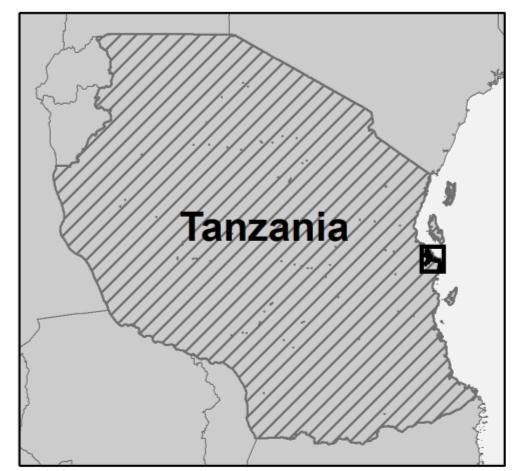 Il Progetto Adapting to Climate Change in Coastal Dar es Salaam Obiettivo generale: indagare la