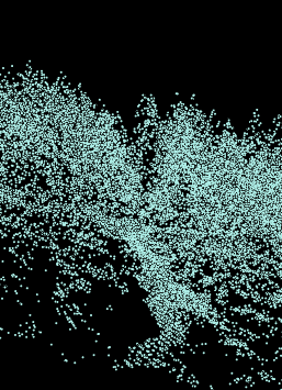 LiDAR e risorse forestali LAS DTM DSM CHM Analisi statistiche sulla distribuzione dei punti (areabased) Valutazione della struttura Valutazione dell accessibilità