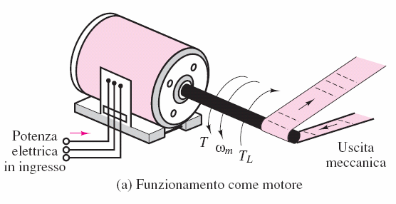 Caraerisiche