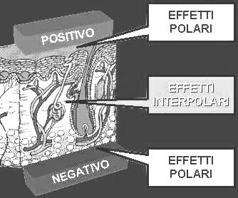 nervo effettore somatico, a patto di parametrizzarne in modo opportuno, la durata, l ampiezza e la frequenza.