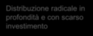 Monte Santa Caterina Tocai Friulano Suolo profondo con tessitura