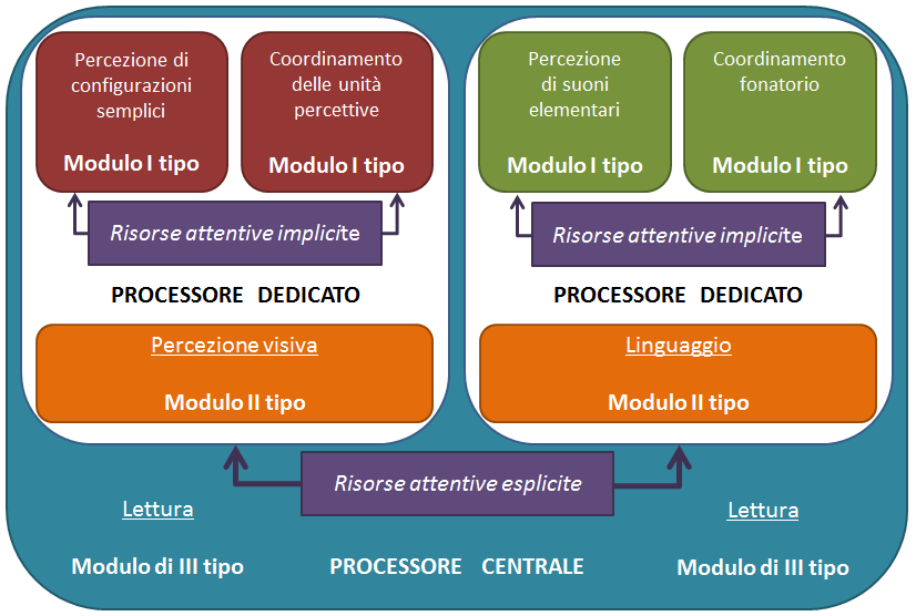 MODELLI UNITARI Modello di Moscovitch e Umiltà ( 1990):