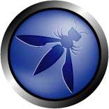 Vulnerability List Lead OWASP SAMM Contributor Work CEO