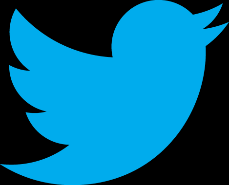 Social media Bird & Bird's focus Twitter / Sina Weibo in China 14 accounts with 6000+ followers @twobirds @twobirdsip @twobirdsit @twobirdscomms @twobirdssport @twobirdslifesci