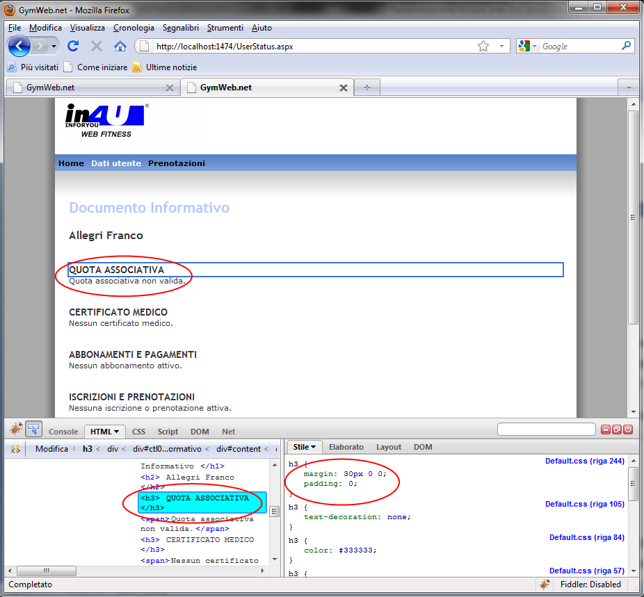 Default.css Il file default.css contiene tutti gli stili utilizzati nell applicazione web.