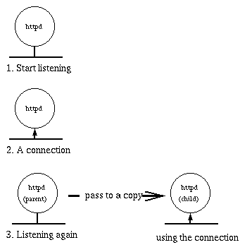 Fasi di un processo server Apache Ciclo di vita del processo Il vantaggio di una struttura a processi è notevole: il server è snello (il demone HTTPd occupa poche decine di KB) poiché deve essere in