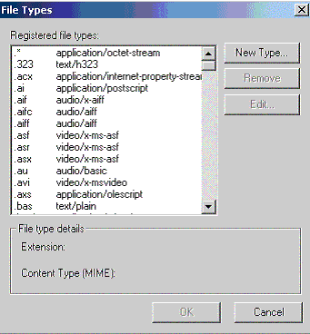 None (non esegue nulla). Script (esegue solo script). Execute (esegue script ed eseguibili NT: dll, exe). I MIME-Type invece servono al server Web per spedire al browser il tipo del documento.