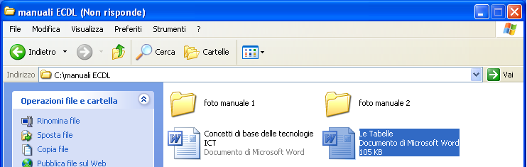 Se un applicazione rimane bloccata per qualche motivo, si può chiuderla agendo da Task Manager (un utility che fornisce informazioni sui programmi ed i processi in esecuzione nel computer; con essa è