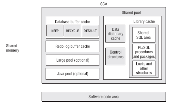 visualizzazione dei risultati e rende disponibili anche le funzionalità di controllo, dal lato server, è presente l intera logica di gestione del database, la gestione degli utenti e delle risorse,