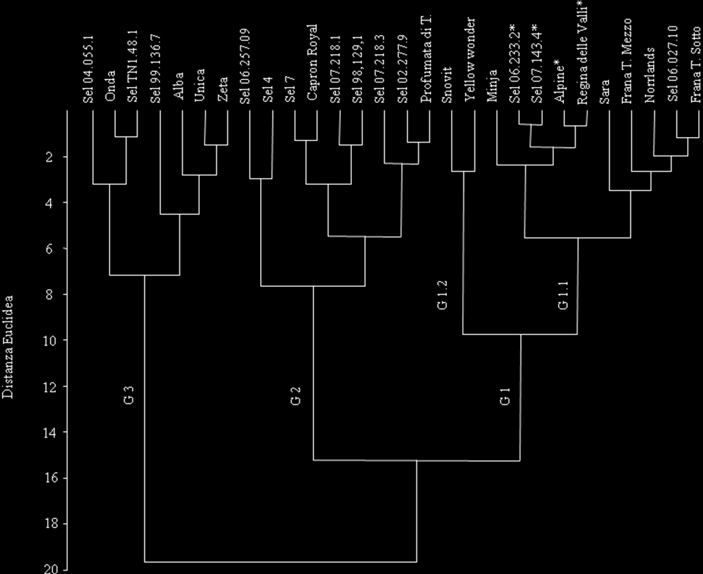 * = varietà/selezione rifiorente Fig. 1.