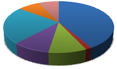 Commercio Estero - Esportazioni 14% 4% 8% 2005 2013 8% 6% 42% 57% 24% 5% 8% 4% 9% 9% 2% Paesi UE