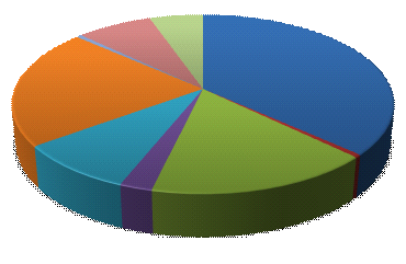 Commercio Estero- Importazioni 2005 2013 18% 7% 4% 45% 22% 8% 37% 5% 9% 3% 2% 16% 17% Paesi UE