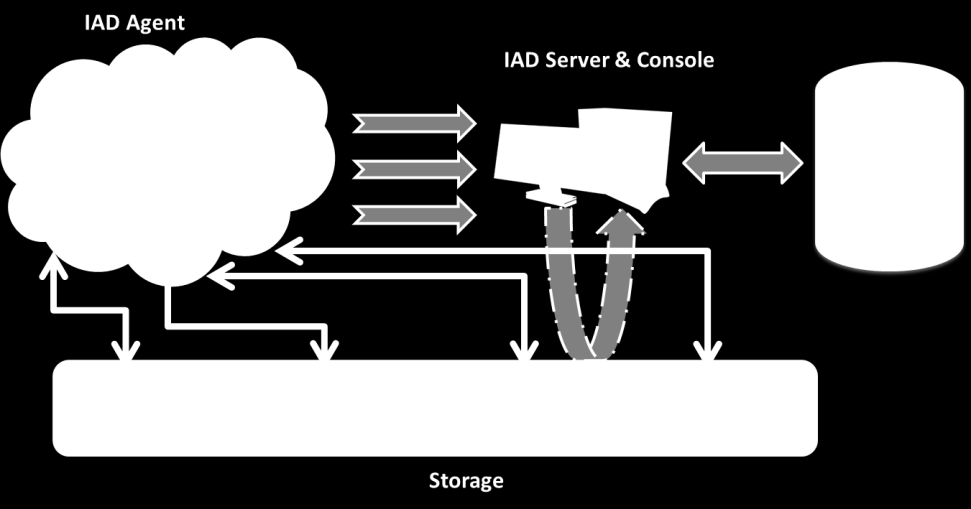 Information related to devices IAD Storage Information related to size IAD Agent E un Agent JAVA installato sui