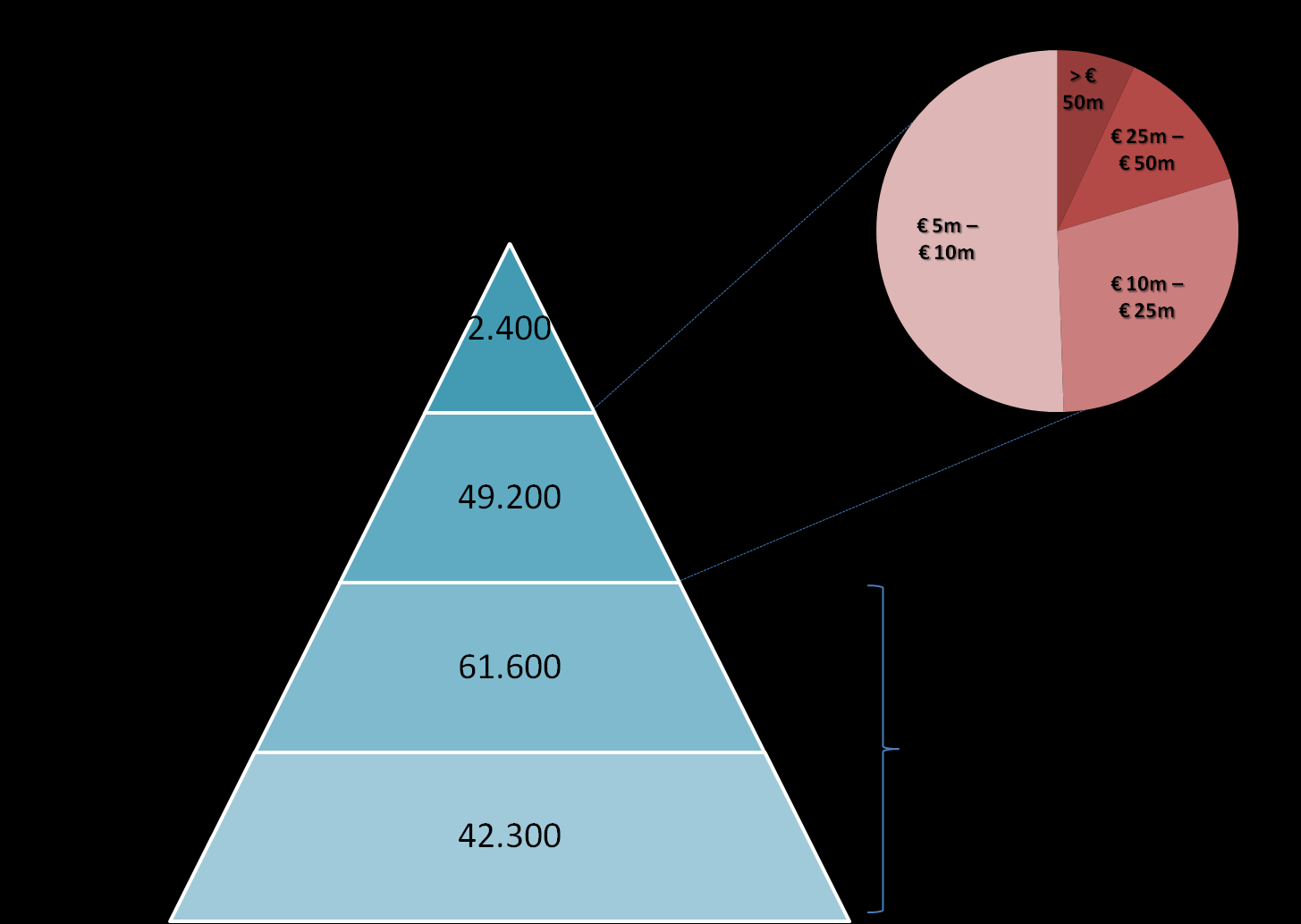 Profilo Società Target DISTRIBUZIONE DELLE SOCIETA