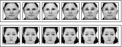 difesa, di fronte ad uno stimolo ritenuto pericoloso. Tali azioni sembrano essere controllate da programmi motori innati; c.