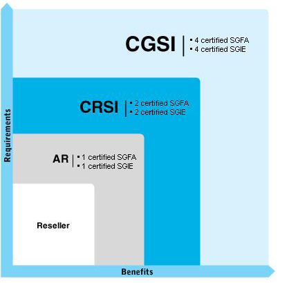 Modello di partnership Stonesoft Direct Channel Partner prevede 3 livelli di partnership: Certified Service Provider (CSP) - Partner regionale Stonesoft Managed Services provider che offre servizi