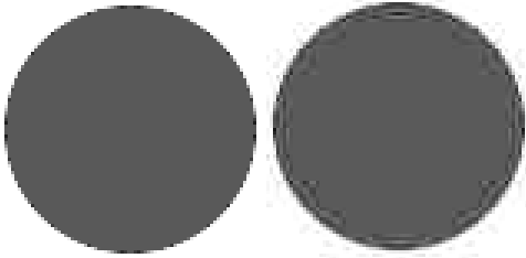 Questo fa si che sia molto adatto a memorizzare e codificare immagini che non hanno Figura 48: Un'immagine fotografica compressa di un fattore 5 sfumature continue, come disegni o con jpeg (a