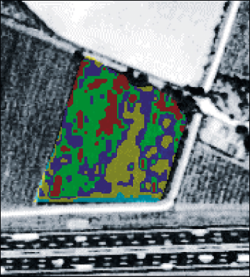 Foto 8, 9 - Mappe del vigore vegetativo ( 1 ) di un vigneto coperto da tendone antigrandine (a sinistra) e di un vigneto coltivato con forma d allevamento GDC e terreno lavorato (a destra).