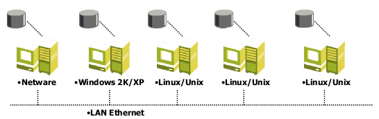 3.1 Direct Attached Storage Come si nota schema logico di figura 12 nei sistemi DAS l architettura è concentrata su un unica macchina, se si volesse accedere ai dati bisognerebbe passare dalla