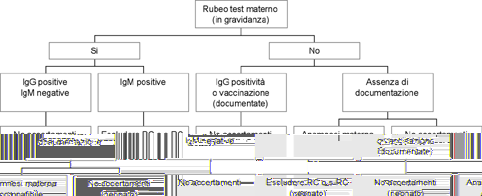 PROCEDURE OPERATIVE STANDARD PER LA DIAGNOSI E LA GESTIONE CLINICA DEI CASI DI R OSOLIA CONGENITA 15 Figura 2 Iter procedurale per l accertamento di RC in base allo stato immunitario e all anamnesi