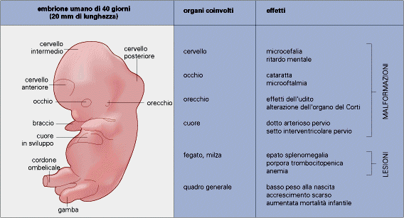 Mims et al.