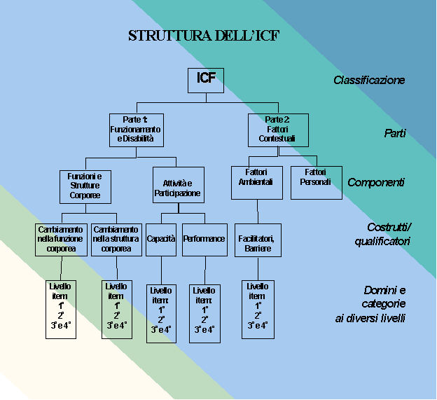 Esistono due versioni dell ICF: una completa ed una ridotta.