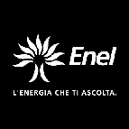 Green economy Le attività della Ricerca ENEL Sauro Pasini Ricerca