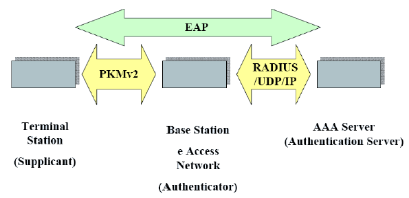 4 Tecnologia 29 3. Authenticator: è l'entità che fa da tramite e inoltra i messaggi AAA tra Supplicante AuthenticationServer, abilità sicamente l'acces.