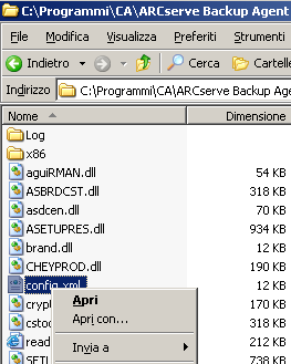 L'agente per Oracle non esegue il backup dei file dei parametri non predefiniti È possibile utilizzare l'agente per Oracle per aggiungere file di parametro.