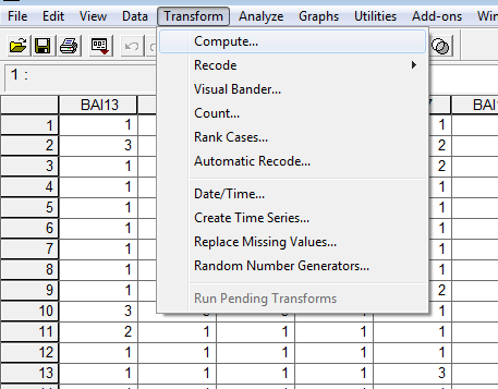 Calcolo della media. I calcoli si possono effettuare considerando anche i comandi del data editor.