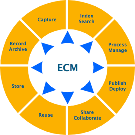 Adozione di un sistema di protocollazione con funzioni basilari di gestione documentale e di workflow management Dopo un attenta comparazione dei prodotti presente sul mercato, la scelta è ricaduta