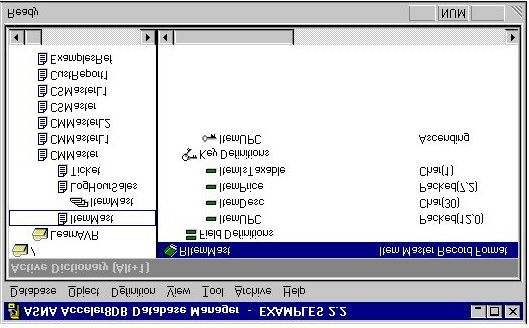 Impostazioni del file Come parte l installazione di ASNA Visual RPG, il database di Acceler8DB chiamato ASNA LOCAL DB viene installato sul tuo PC.