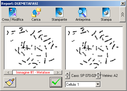 Fig.12.15 Selezione di altre cellule La cellula è selezionata perché appare in rosso.