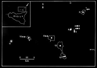 61 Fig. 2 - Areale attuale di Podarcis raffonei. Present range of distribution of Podarcis raffonei. Fig. 3 - Stato di conservazione di alcune popolazioni di Triturus italicus.