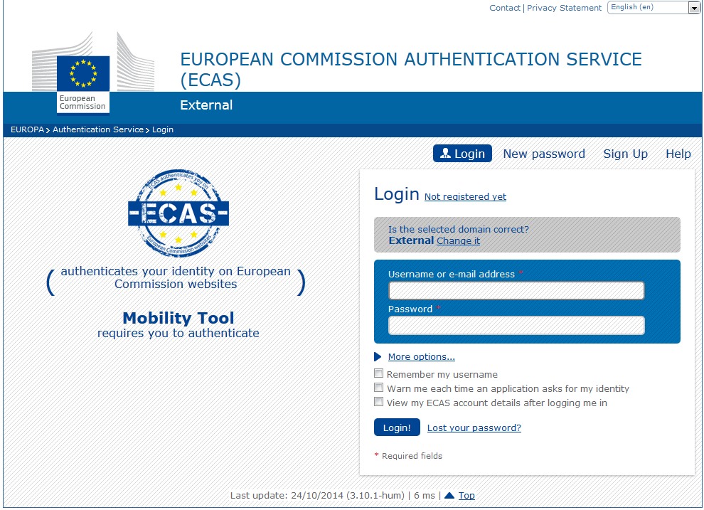 I campi più importanti sono i seguenti: "Is the selected domain correct?