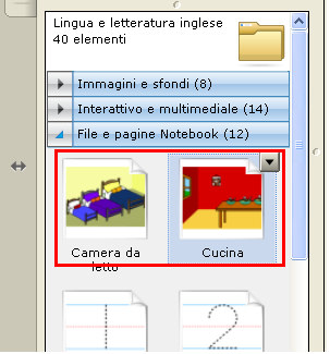 Nella cartella File e pagine di Notebook è possibile