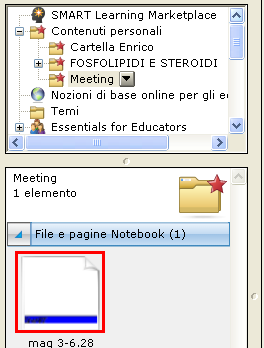 Organizzare gli oggetti in Contenuti personali È possibile creare e gestire delle cartelle personali di oggetti in fuzione dell utilizzo che si intende farne.