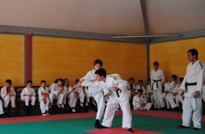 SPORT E NON SOLO... Da quando avevo 5 anni pratico Jiu-Jitsu... Ho comiciato grazie a un compagno di scuola. Negli anni ho partecipato a molte gare e molte volte mi sono classificato primo.