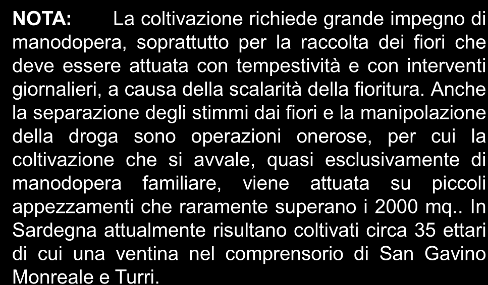 verde-scuro, solcate dentro e carenate all'esterno, bordate da ciglia, percorse da striscia biancastra mediana.